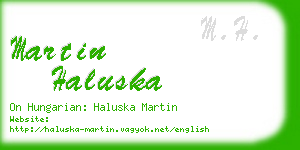 martin haluska business card